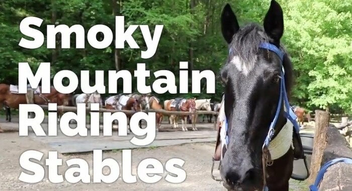 Smoky Mountain Riding Stables